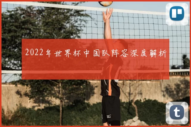 2022年世界杯中国队阵容深度解析