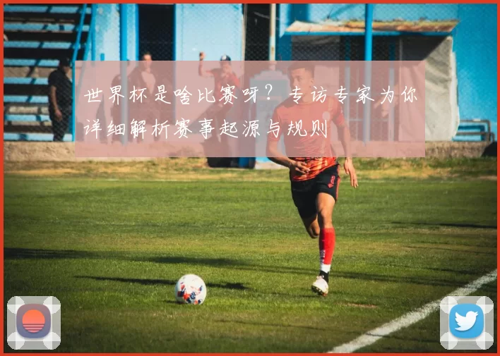 世界杯是啥比赛呀?专访专家为你详细解析赛事起源与规则