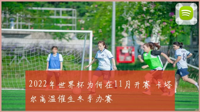 2022年世界杯为何在11月开赛 卡塔尔高温催生冬季办赛