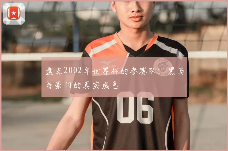 盘点2002年世界杯的参赛队：黑马与豪门的真实成色