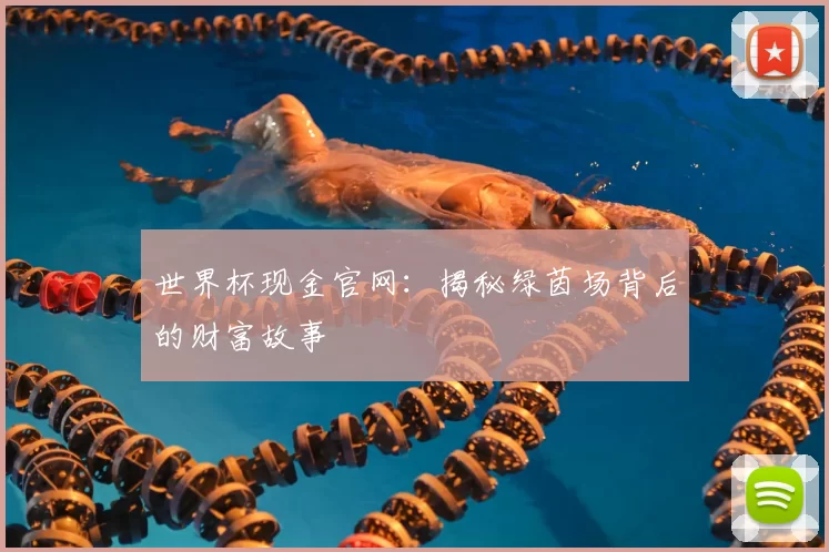 世界杯现金官网:揭秘绿茵场背后的财富故事