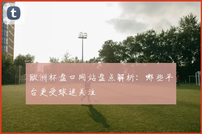 欧洲杯盘口网站盘点解析:哪些平台更受球迷关注