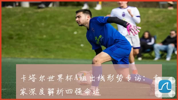 卡塔尔世界杯A组出线形势专访:专家深度解析四强命运