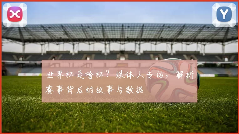 世界杯是啥杯？媒体人专访，解析赛事背后的故事与数据