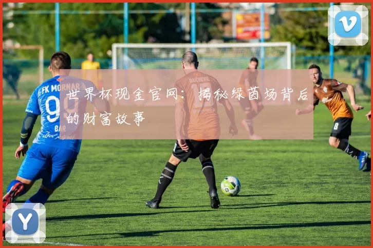 世界杯现金官网:揭秘绿茵场背后的财富故事