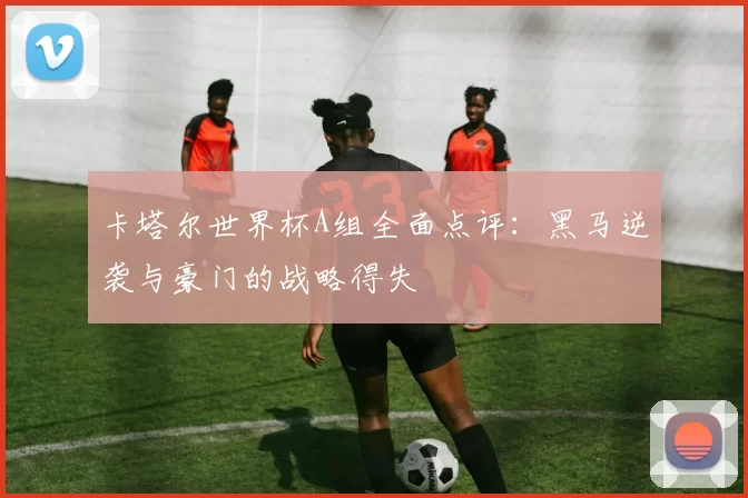卡塔尔世界杯A组全面点评：黑马逆袭与豪门的战略得失