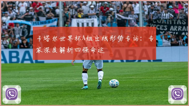 卡塔尔世界杯A组出线形势专访:专家深度解析四强命运