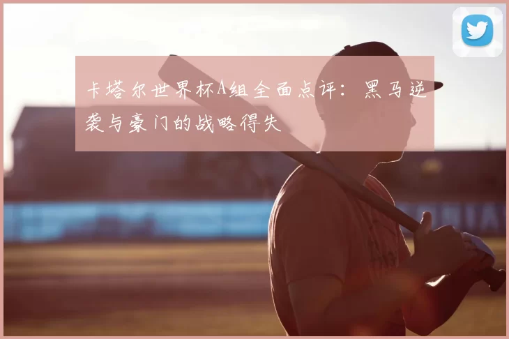 卡塔尔世界杯A组全面点评:黑马逆袭与豪门的战略得失