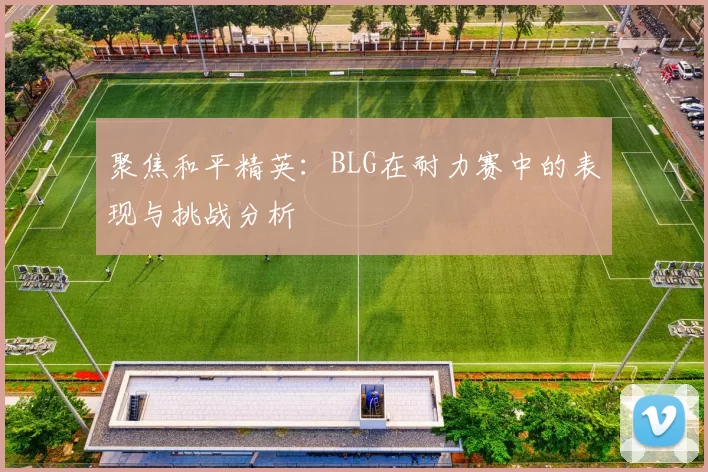 聚焦和平精英：BLG在耐力赛中的表现与挑战分析